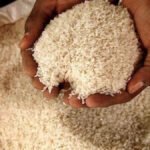 India puts rice ban