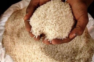 India puts rice ban
