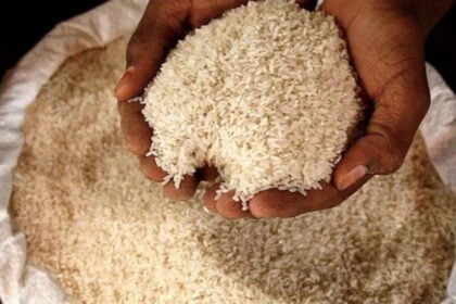 India puts rice ban