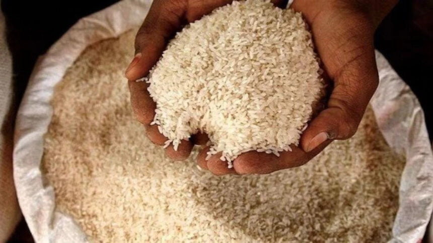 India puts rice ban