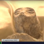 Mexico claims they caught aliens