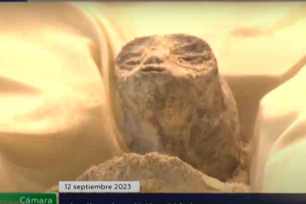 Mexico claims they caught aliens